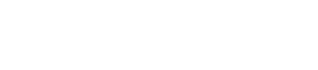 BoltAudit